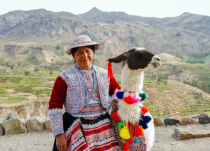 118348441_1148305788886534_4586546818635048334_n